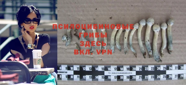 mdpv Балахна